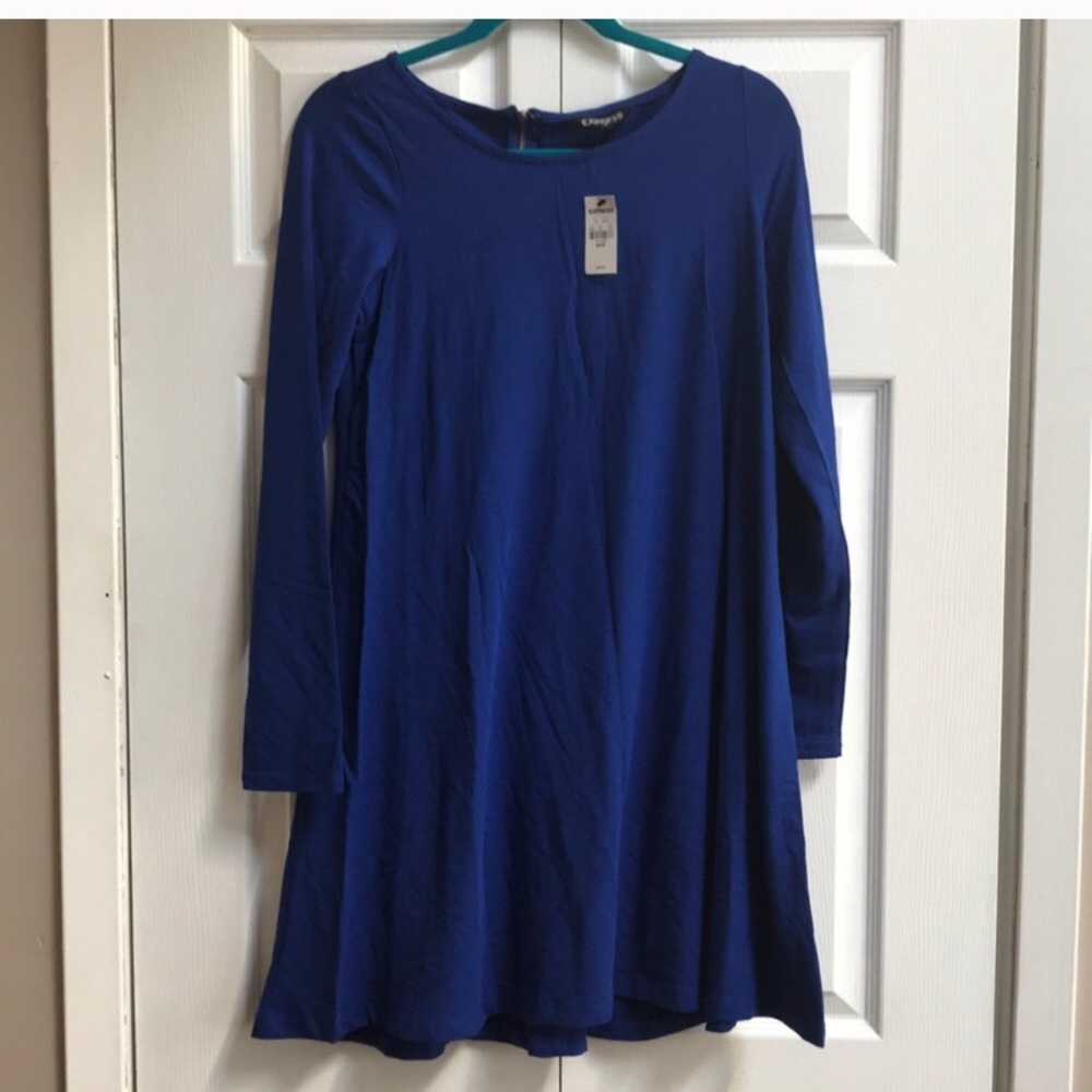 Express Skater Dress